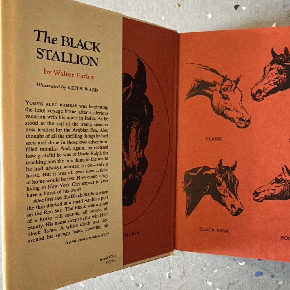 The Black Stallion Walter Farley / 1941 BCE HCDJ F-1 Random House